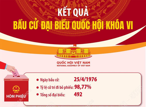Kết quả bầu cử đại biểu Quốc hội khóa VI