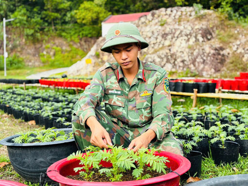 Nghĩa tình người lính nơi biên cương