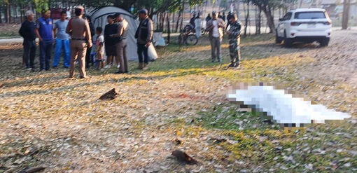 Thái Lan: Voi đực hoang dã tấn công du khách, 1 người thiệt mạng