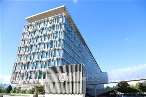 WHO: Cắt giảm tài trợ tạo cơ hội tái cấu trúc, xây dựng tổ chức tinh gọn hơn