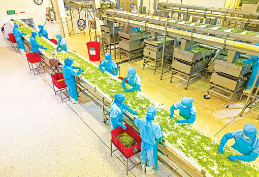 Từ hậu phương đến đối tác toàn cầu