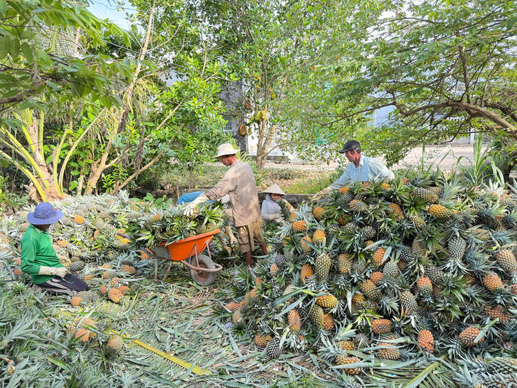 “Ngôi nhà chung” của nông dân tỷ phú trên đất Vĩnh Tuy