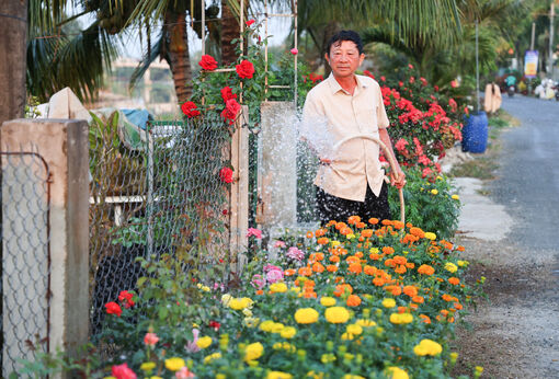 Tự dệt sắc xuân