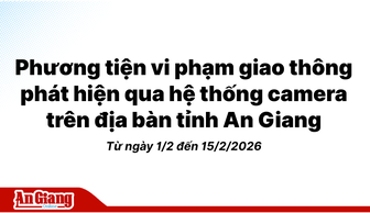 Phương tiện vi phạm giao thông phát hiện qua hệ thống camera trên địa bàn tỉnh An Giang từ ngày 1/2 đến 15/2/2026