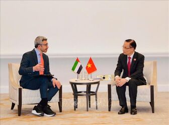 Bộ trưởng Ngoại giao Lê Hoài Trung gặp Bộ trưởng Ngoại giao UAE, Ai Cập và Thổ Nhĩ Kỳ