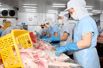 Mở rộng thị trường, giữ nhịp xuất khẩu thủy sản
