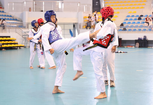 Chuyên nghiệp hóa phong trào Taekwondo