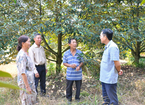 Khéo vận động, góp phần chuyển đổi sản xuất