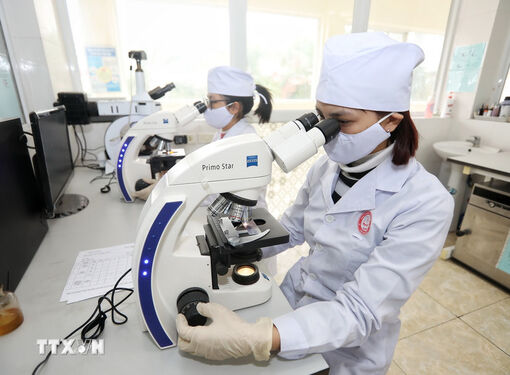 Bài viết của Tổng Bí thư về thanh niên: Gợi mở hành động cho thế hệ trẻ