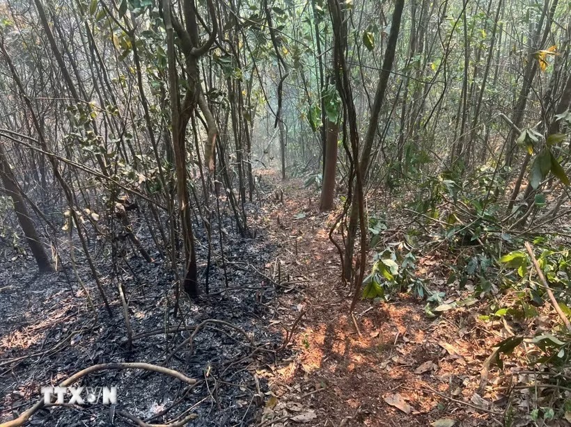 Dập tắt hoàn toàn vụ cháy rừng tại Sơn La sau 1 ngày