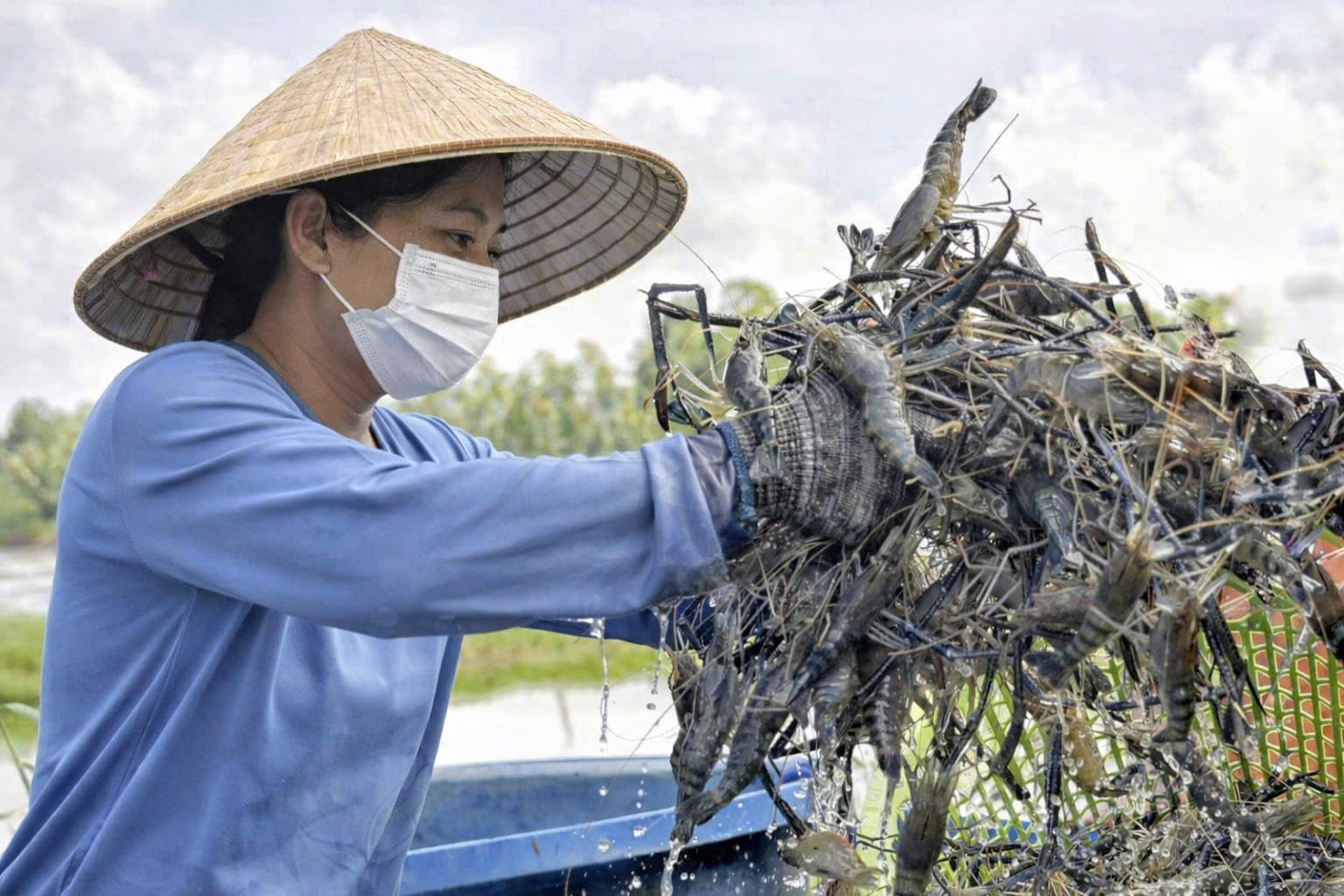 Vì sao tôm quảng canh khó chứng minh "sạch"?