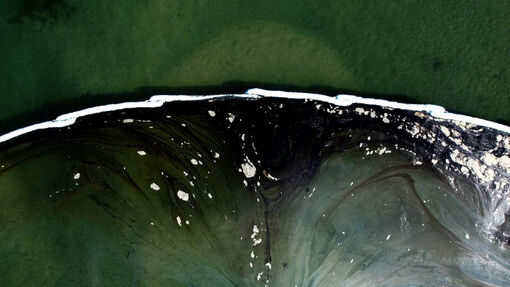 Hoạt động tại cảng Antwerp của Bỉ tê liệt do sự cố tràn dầu