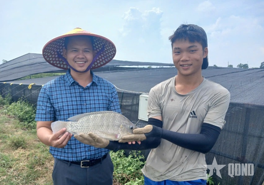 Cá rô phi có tiềm năng thành mặt hàng xuất khẩu chủ lực