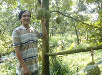 Liên kết để sầu riêng đi xa