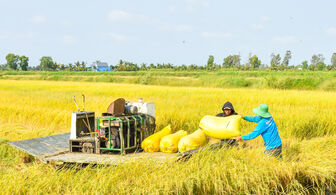 Vĩnh Bình đưa khoa học vào đồng ruộng