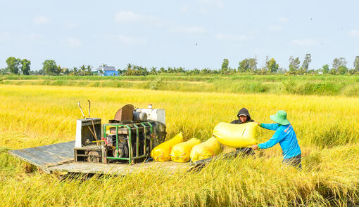 Vĩnh Bình đưa khoa học vào đồng ruộng