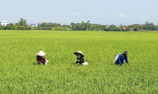 Châu Phong tìm cách đạt tăng trưởng 2 con số