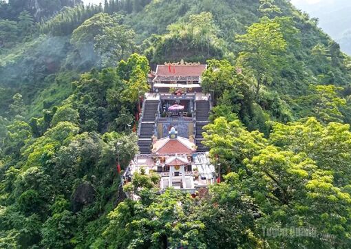 Hoa nở nơi “Lò vôi thế kỷ"