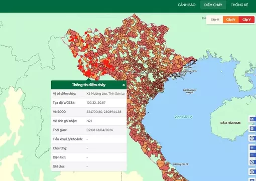 Nắng nóng gay gắt, cảnh báo nguy cơ cháy rừng tại nhiều khu vực trên cả nước