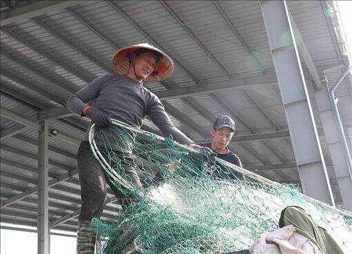 Ngư dân kiên trì bám biển trước áp lực giá nhiên liệu tăng