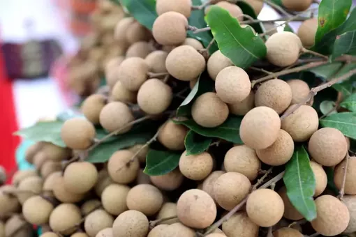 Vì sao quả nhãn được xếp vào nhóm siêu thực phẩm?