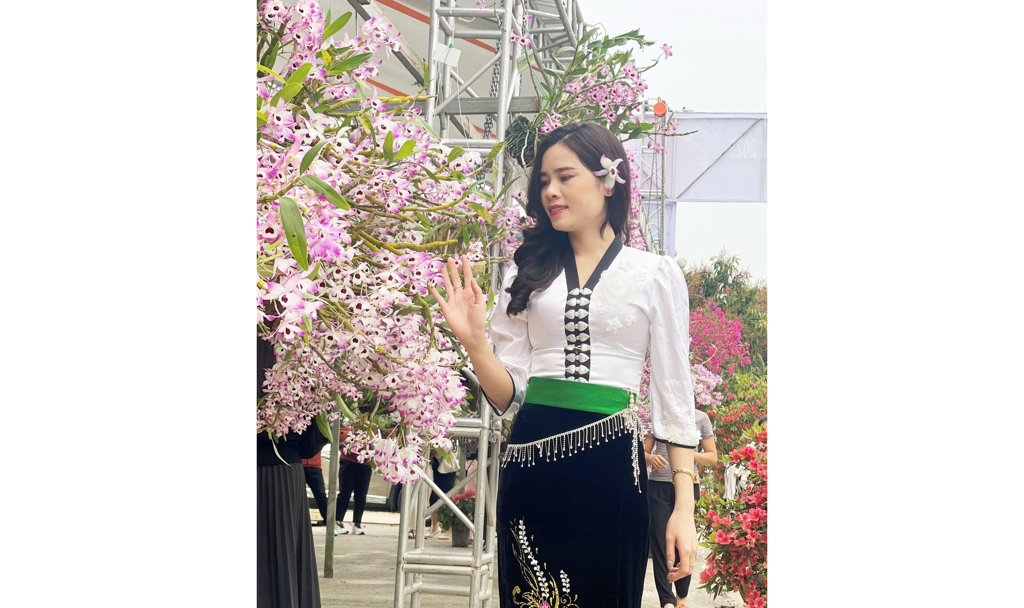 Hương sắc hoa lan