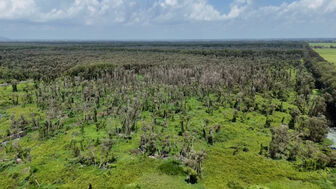 An Giang cảnh báo cháy rừng cấp cực kỳ nguy hiểm ở nhiều khu vực