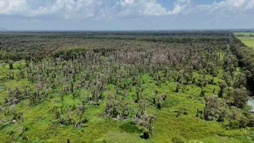 An Giang cảnh báo cháy rừng cấp cực kỳ nguy hiểm ở nhiều khu vực