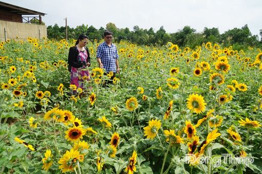 Các điểm du lịch trong tỉnh: Khoác “áo mới” đón mùa lễ lớn