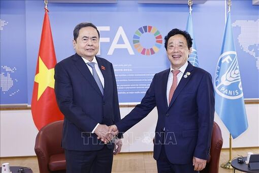 Chủ tịch Quốc hội gặp Tổng Giám đốc Tổ chức Nông nghiệp và Lương thực Liên hợp quốc
