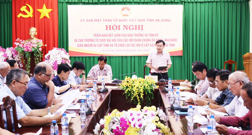 Thống nhất chủ trương tổ chức đại hội và kiện toàn các hội quần chúng cấp tỉnh, cấp xã