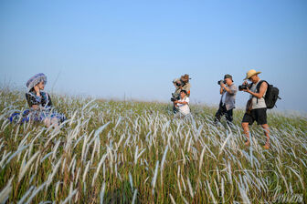 Đồi cỏ tranh Tìa Ló: Tọa độ check-in đẹp ngỡ ngàng