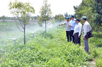 Hiện đại hóa tưới tiêu