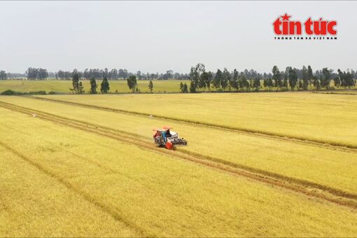 Cơ giới hóa nông nghiệp tăng tốc, mở rộng cơ hội hợp tác quốc tế tại Việt Nam