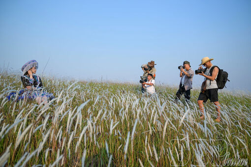 Đồi cỏ tranh Tìa Ló: Tọa độ check-in đẹp ngỡ ngàng