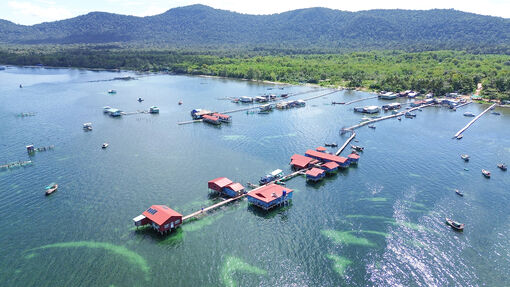 Mộc mạc Rạch Vẹm