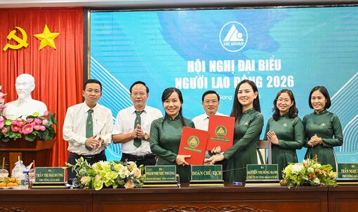 CIC Group đặt mục tiêu lợi nhuận 165 tỷ đồng trong năm 2026
