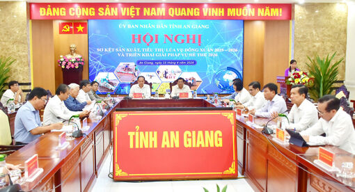 An Giang phấn đấu đạt 183.000ha lúa chất lượng cao trong năm 2026