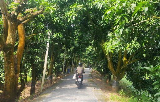 Sức sống trên ruộng, vườn chuyển đổi