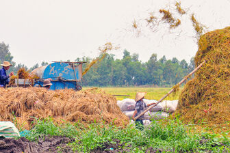 Chiều về Miệt Thứ