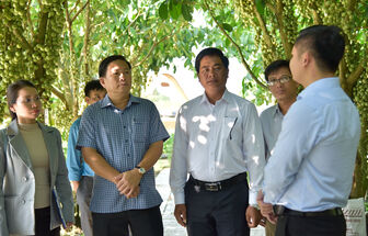 Chủ tịch Hội Nông dân tỉnh An Giang khảo sát, nắm tình hình trước hội nghị đối thoại với nông dân