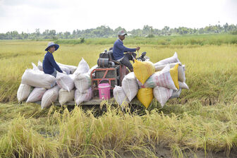 Giá vật tư tăng, nông dân lo