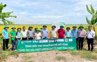 Hợp tác xã giúp nông dân nâng giá trị sản xuất