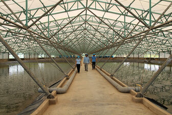 Tạo lực tăng trưởng từ khu công nghiệp và cửa khẩu