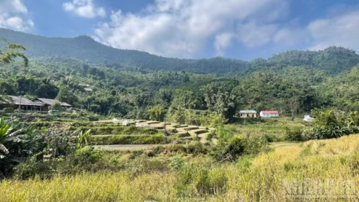 Bộ Dân tộc và Tôn giáo triển khai chương trình xây dựng nông thôn mới, giảm nghèo bền vững giai đoạn 2026-2035