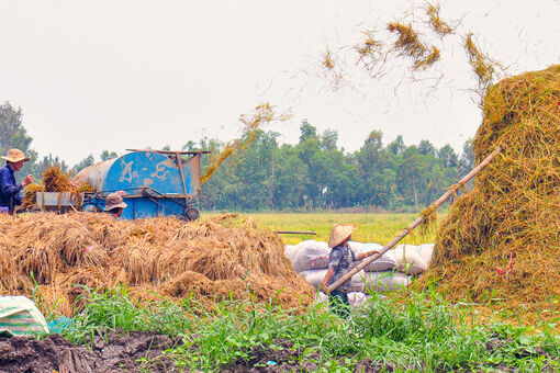 Chiều về Miệt Thứ