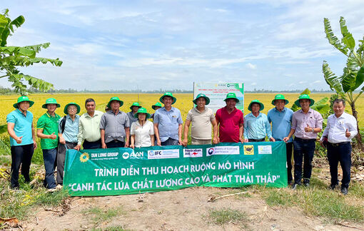 Hợp tác xã giúp nông dân nâng giá trị sản xuất