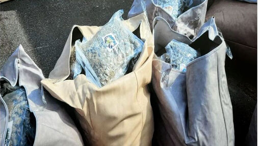 Triệt phá nhánh lớn băng đảng Balkan buôn ma túy