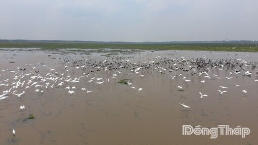 Vận hành hệ sinh thái rừng bằng công nghệ