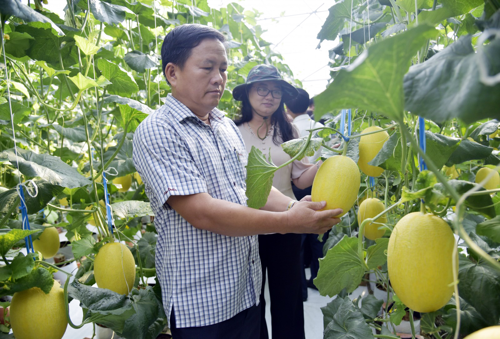 Nông dân, hợp tác xã kiến nghị tăng liên kết, gỡ “điểm nghẽn” cho nông nghiệp công nghệ cao